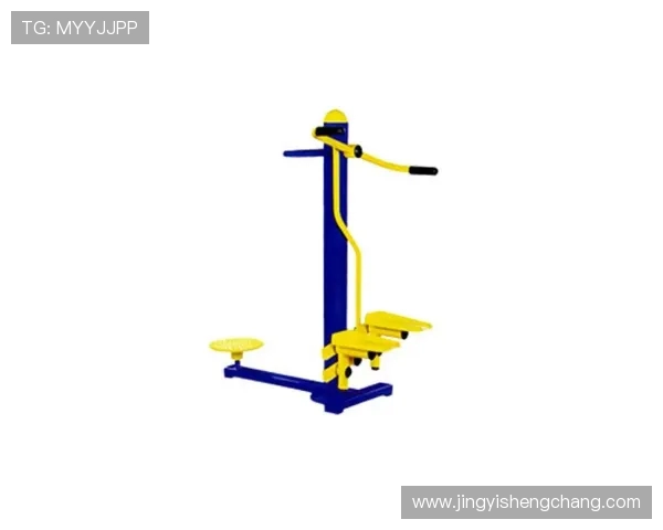 德国户外健身器材品牌及技术特点介绍 德国户外健身器材品牌及技术特点介绍