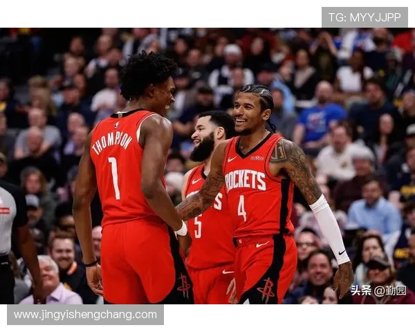 2013年火箭队战绩总结及重要比赛回顾